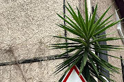 pas_de_photo